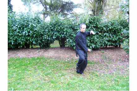 Saisir la queue de l'oiseau &agrave; droite