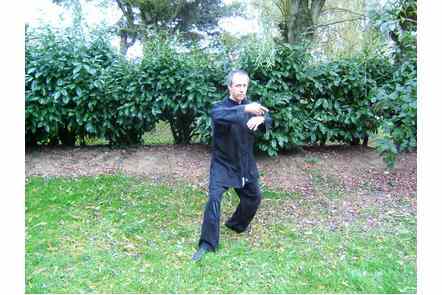 Saisir la queue de l'oiseau &agrave; droite