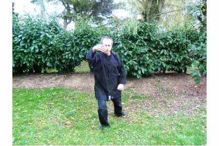 Saisir la queue de l'oiseau &agrave; gauche