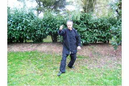 Saisir la queue de l'oiseau &agrave; gauche