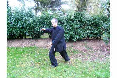 Saisir la queue de l'oiseau &agrave; gauche