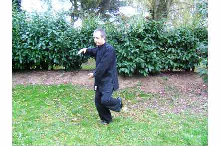 Saisir la queue de l'oiseau &agrave; gauche