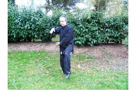 Saisir la queue de l'oiseau &agrave; gauche