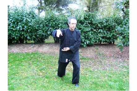 Saisir la queue de l'oiseau &agrave; gauche