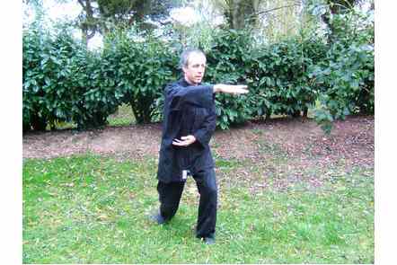 Saisir la queue de l'oiseau &agrave; gauche