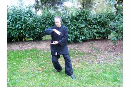 Saisir la queue de l'oiseau &agrave; gauche