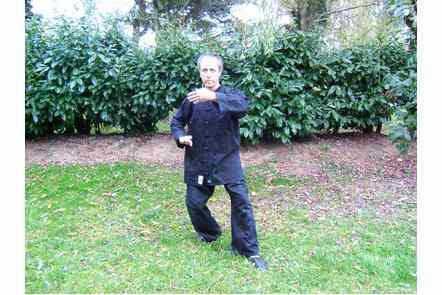 Saisir la queue de l'oiseau &agrave; gauche