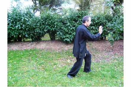 Pas &agrave; gauche, Pousser paume droite