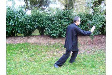 Pas &agrave; gauche, Pousser paume droite