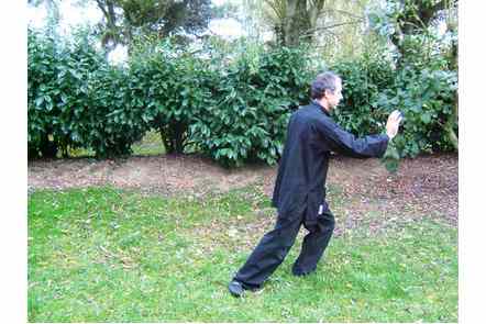 Pas &agrave; gauche, pousser main droite