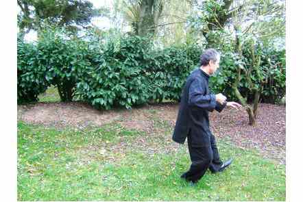 Faire un pas gauche et donner coup de poing droit