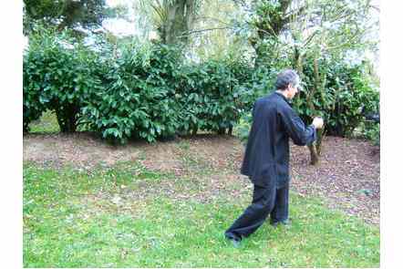 faire un pas gauche et donner coup de poing droit