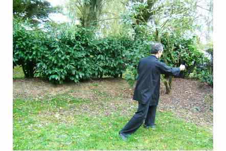 faire un pas gauche et donner coup de poing droit