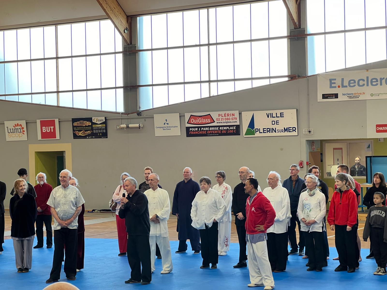 Groupe stage Tai Chi Chuan Nel An Chinois Plrin Bertrand GAGNEUX