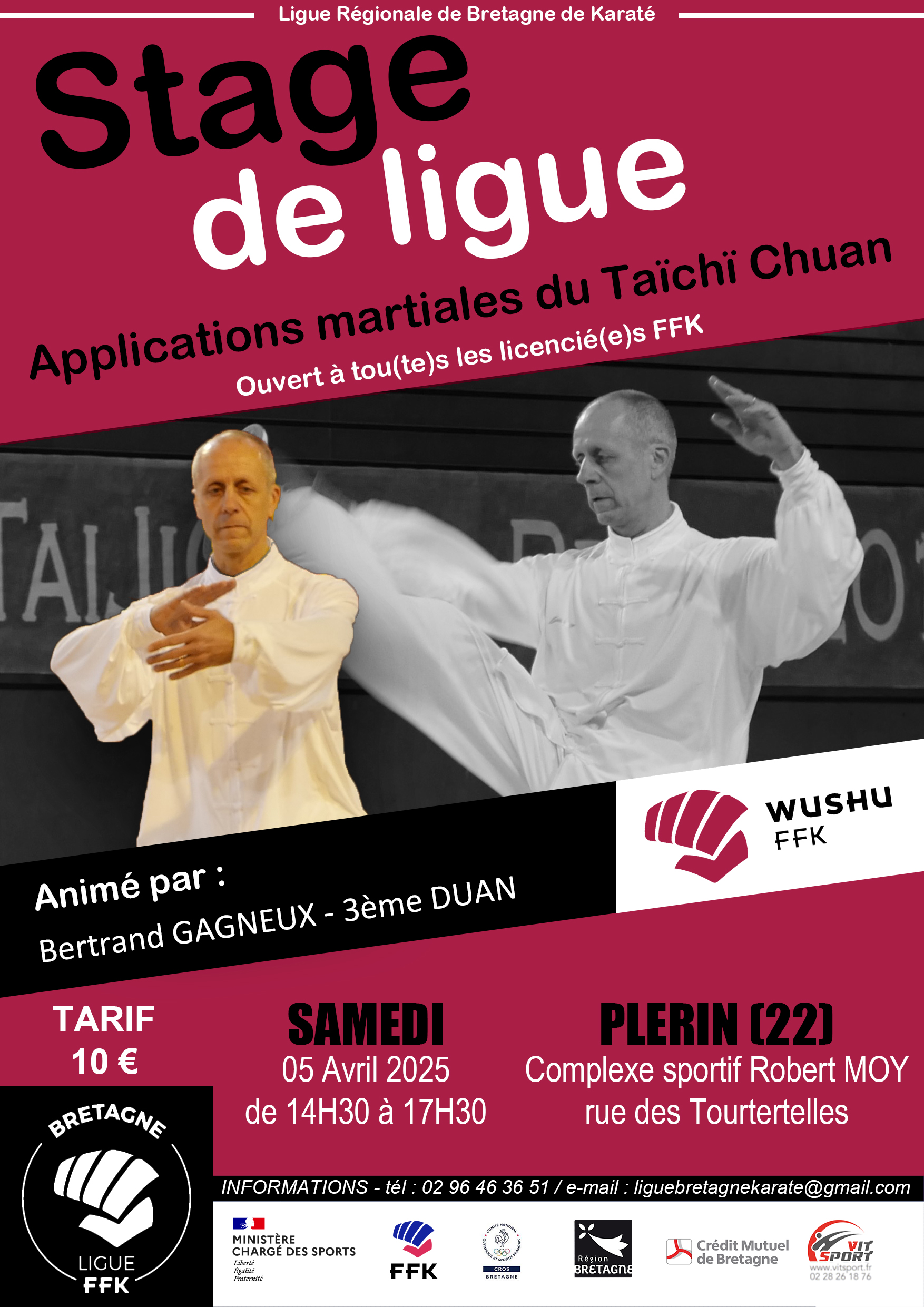 Stage applications martiales Tai Chi Ligue bretagne Karat Plrin Bertrand GAGNEUX