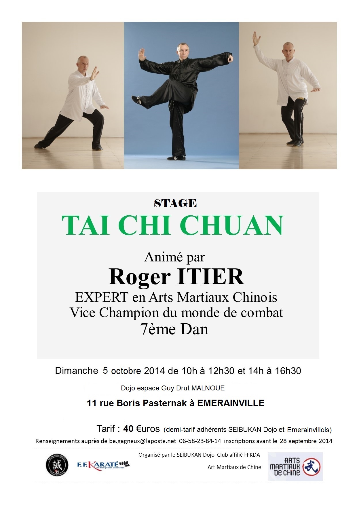 Stage Tai Chi avec Roger ITIER du 5 octobre 2014  Emerainville