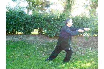 Jeter &agrave; gauche