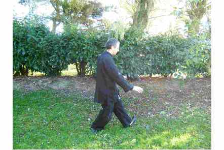 Ouvrir pied gauche, Pas droite, parade mains basses