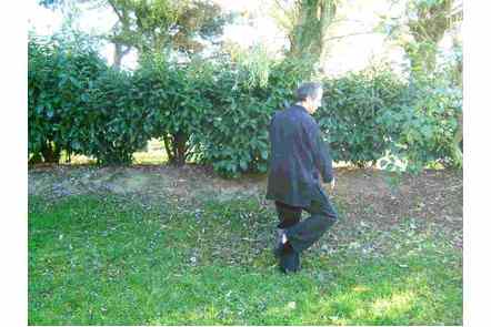 Ouvrir pied gauche, Pas droite, parade mains basses