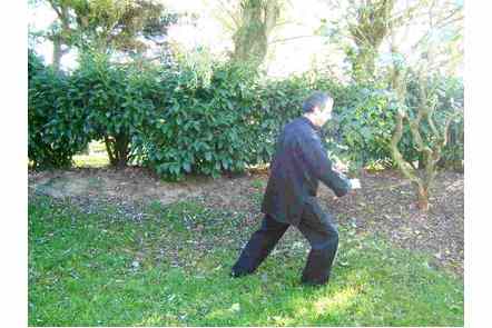 Ouvrir pied gauche, Pas droite, parade mains basses