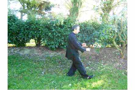 Ouvrir pied droit, pas gauche, coup de poing droit