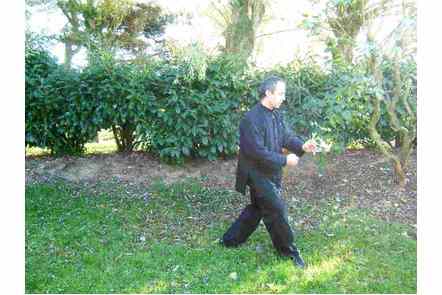 Ouvrir pied droit, pas gauche, coup de poing droit