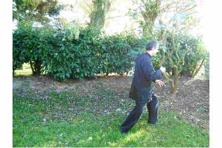 Ouvrir pied droit, pas gauche, coup de poing droit