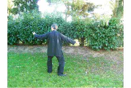 Aiguille au fond de la mer