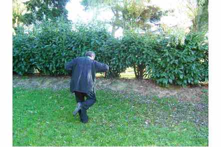 Aiguille au fond de la mer