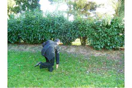 Aiguille au fond de la mer