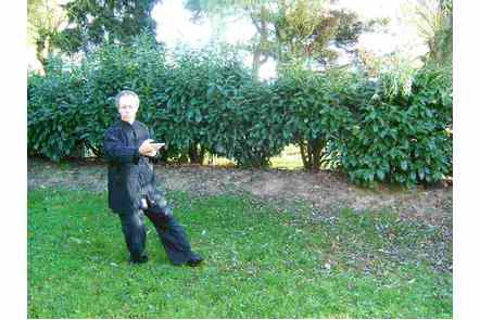 Les bras comme les nuages