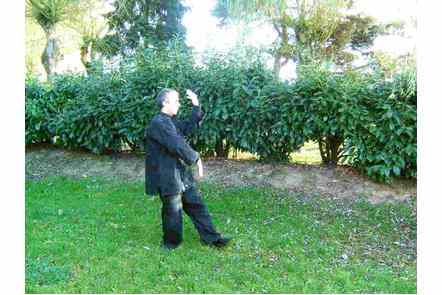 Les bras comme les nuages