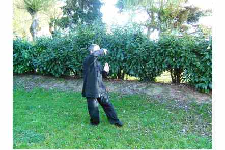 Les bras comme les nuages