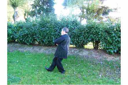 Les bras comme les nuages