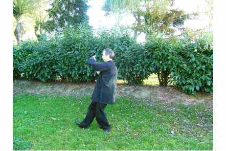 Les bras comme les nuages