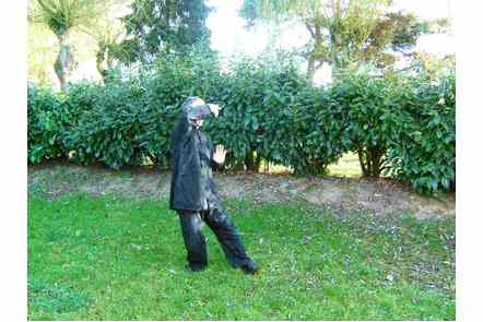 Les bras comme les nuages