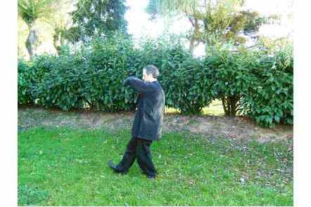 Les bras comme les nuages