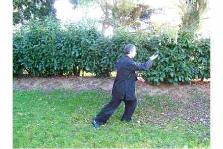 Donner coup de talon droit