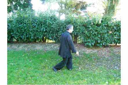 Donner coup de talon droit