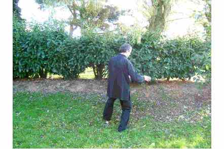 Jeter &agrave; gauche