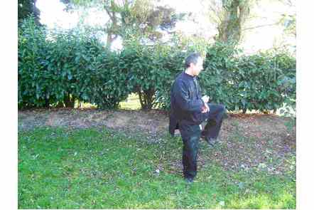 Donner coup de talon gauche