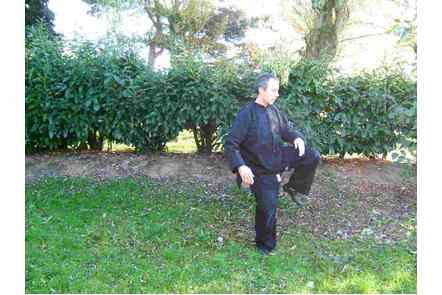 Donner coup de talon gauche