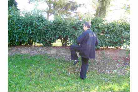 Donner coup de talon gauche