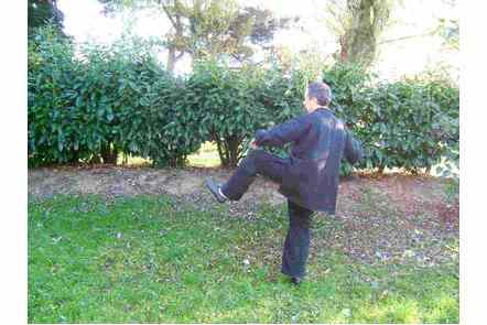 Donner coup de talon gauche