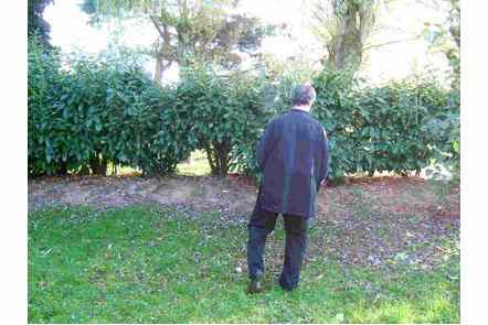 Brosser le genou gauche