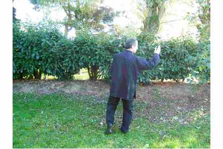 Brosser le genou gauche