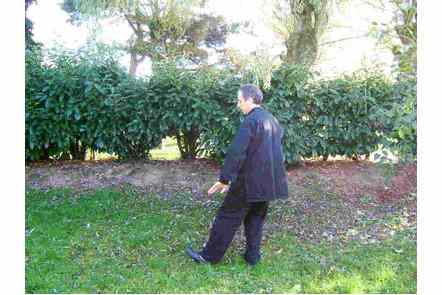 Brosser le genou gauche