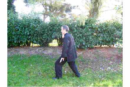 Pas gauche, pousser paume droite