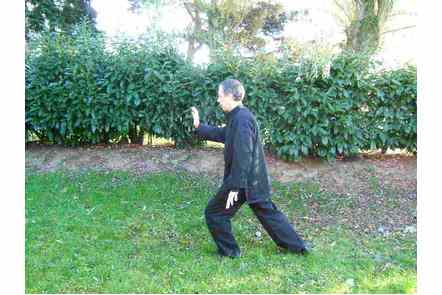 Pas gauche, pousser paume droite