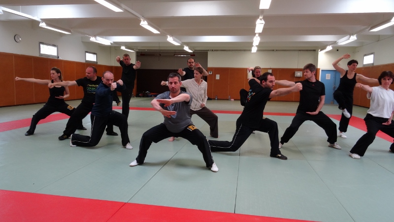 Stage Wushu Dinard 2015 Groupe